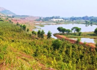 ग्रामीणों की सोच से भालूओं के लिए पहाड़ पर ही हुई दाना-पानी की व्यवस्था raipur-23-3