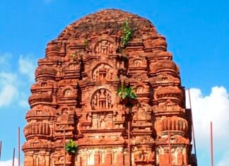 पुरात्वत धरोहर लक्ष्मण मंदिर की उपेक्षा से उग रहे है बरगद व् पीपल के पेड़-योगेश्वर Archaic heritage Laxman temple