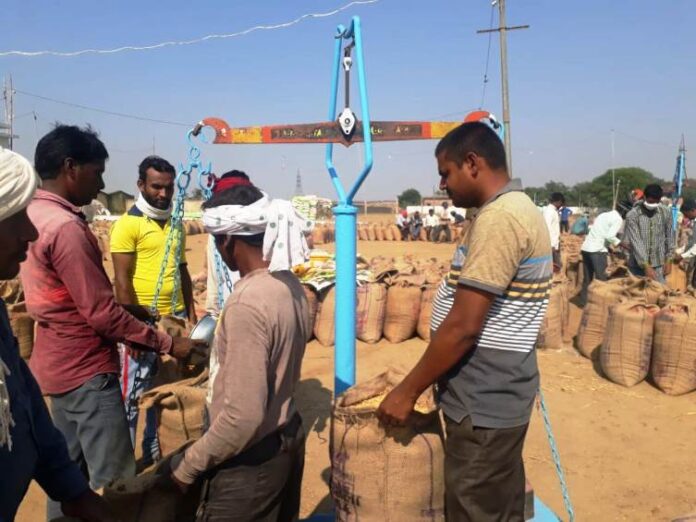 dhaan khareedee abhiyaan ka shaanadaar aagaaj