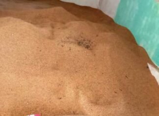 अवैध रूप से धान का भंडारण करने वाले चार लोगों पर कार्यवाही 119 बोरा धान जप्त 10 लोगों पर अवैध रूप से धान का भंडारण करने पर हुई कार्यवाही,320 बोरा धान जप्त