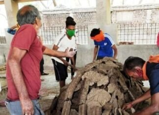 दाह संस्कार होगा अब गौ काष्ठ से स्वच्छ और प्रदूषण मुक्त शहर का सपना होगा साकार