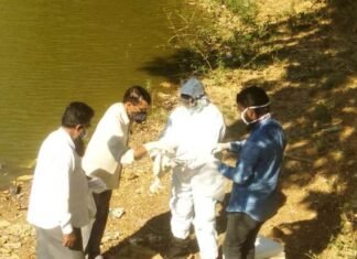 नमूनों की जांच रिपोर्ट निगेटीव आई जिले में बर्ड फ्लु की पुष्टि नहीं नमूनों की जांच रिपोर्ट निगेटीव आई जिले में बर्ड फ्लु की पुष्टि नहीं