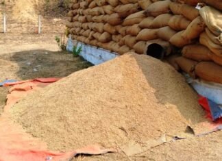 अवैध रूप से धान का भंडारण करने वाले 04 लोगों पर कार्यवाही 203 बोरा धान जप्त मौसम में नमी,सभी धान खरीदी केंद्रों में बारिश से बचाव संबंधित निर्देश जारी