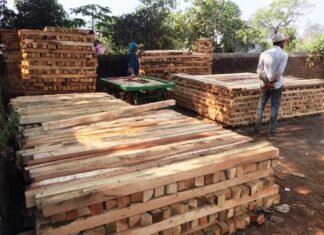 वन अमले ने 4 आरा मिल से 6 लाख रूपए के लट्ठे तथा चिरान किया जप्त