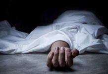 जंगल में पेड़ से लटका मिला युवक का शव, हत्या की आशंका में जांच तेज जंगल में पेड़ से लटका मिला युवक का शव, हत्या की आशंका में जांच तेज