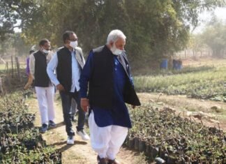 औषधि पादप बोर्ड के अध्यक्ष ने बागबाहरा में औषधीय पौधों के रोपण का किया निरीक्षण औषधि पादप बोर्ड के अध्यक्ष ने बागबाहरा में औषधीय पौधों के रोपण का किया निरीक्षण