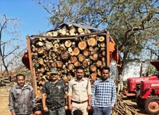 एक वाहन सहित लगभग एक लाख रूपए की अवैध लकड़ी की जप्ती एक वाहन सहित लगभग एक लाख रूपए की अवैध लकड़ी की जप्ती