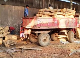 गोदाम में अवैध रूप से संग्रहित 30 लाख रूपए से अधिक मूल्य के लकड़ी की जप्त एक लाख रूपये की सागौन लकड़ी का अवैध परिवहन पर वन विभाग ने की कार्यवाही