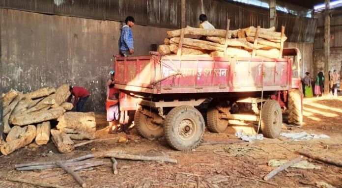 एक लाख रूपये की सागौन लकड़ी का अवैध परिवहन पर वन विभाग ने की कार्यवाही