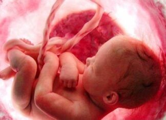 जयपुर में भ्रूण लिंग परीक्षण में लिप्त आरोपी चिकित्सक एवं दलाल गिरफ्तार