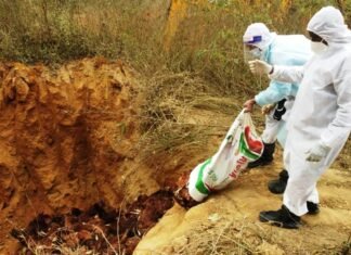 बर्ड फ्लू की पुष्टि होने के बाद मुर्गियों, चूजों व् अण्डों को किया गया नष्ट बर्ड फ्लू की पुष्टि होने के बाद मुर्गियों, चूजों व् अण्डों को किया गया नष्ट