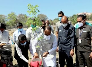 धरती पर हरित आवरण बढ़ेगा तो दुनिया बचेगाअधिक संख्या में पेड़ भी लगाएँ -CM चौहान धरती पर हरित आवरण बढ़ेगा तो दुनिया भी बचेगा अधिक संख्या में पेड़ भी लगाएँ-CM