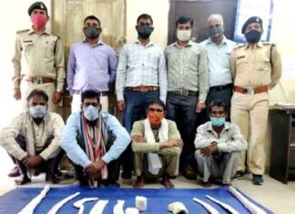 वन विभाग ने तेंदुए का शिकार करने के आरोप में 4 लोग को किया गया गिरफ्तार वन विभाग ने तेंदुए का शिकार करने के आरोप में 4 लोग को किया गया गिरफ्तार