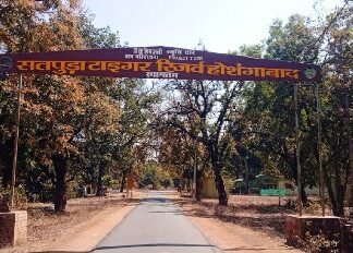 सतपुड़ा टाईगर रिजर्व व् भेड़ाघाट यूनेस्को की विश्व धरोहर स्थलों की संभावित सूची में शामिल सतपुड़ा टाईगर रिजर्व व् भेड़ाघाट यूनेस्को की विश्व धरोहर स्थलों की संभावित सूची में शामिल