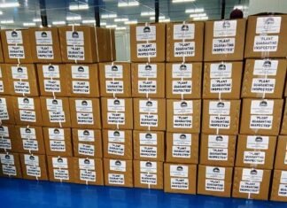 ताजा कटहल की खेप त्रिपुरा से सात समन्दर पार लंदन की गई निर्यात ताजा कटहल की खेप त्रिपुरा से सात समन्दर पार लंदन की गई निर्यात