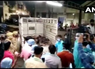 कानपुर के सचेंडी इलाके में एक वातानुकुलित बस व् आटो की टक्कर में 17 लोगों मौत कानपुर के सचेंडी इलाके में एक वातानुकुलित बस व् आटो की टक्कर में 17 लोगों मौत