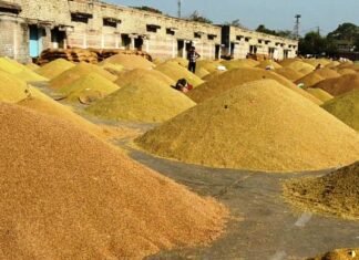 सतर्कता टीम ने ओड़गी में 4 पिकअप में लोड 132 बोरी अवैध धान किया गया जप्त धान खरीदी से