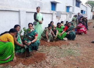 लायनेस क्लब के पदाधिकारियों ने पर्यावरण दिवस पर किया पौधरोपण लायनेस क्लब के पदाधिकारियों ने पर्यावरण दिवस पर किया पौधरोपण