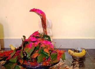 महाकालेश्वर छोटेश्वर महादेव मंदिर की निर्माण व प्राणप्रतिष्ठा संपन्न महाकालेश्वर छोटेश्वर महादेव मंदिर की निर्माण व प्राणप्रतिष्ठा संपन्न