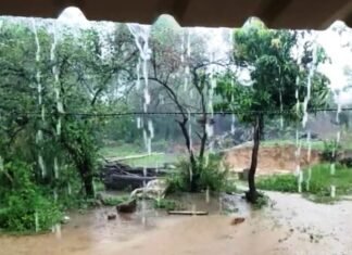 प्रदेश में अब तक 724.1 मिमी औसत वर्षा की गई है दर्ज बरसात के दिनों में नदी-नाले व पुराने पुल-पुलिया पार करते समय बरतें एहतियात