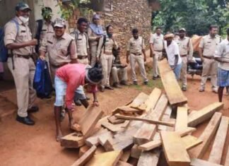 वन विभाग की संयुक्त टीम ने 12 लाख रूपए मूल्य का चीरान किया जब्त वन विभाग की संयुक्त टीम ने 12 लाख रूपए मूल्य का चीरान किया जब्त