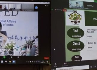 36गढ़ को लघु वनोपज के विभिन्न श्रेणियों के लिए मिले राष्ट्रीय स्तर के दस पुरस्कार 36गढ़ को लघु वनोपज के विभिन्न श्रेणियों के लिए मिले राष्ट्रीय स्तर के दस पुरस्कार