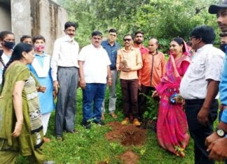 शाला परिसर में रोपीत पौधों को बचाने वाले छात्र -छात्रायें होगें सम्मानित :- शाला परिसर में रोपीत पौधों को बचाने वाले छात्र -छात्रायें होगें सम्मानित :-