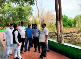 जल्द ही पटरी पर फिर से दौड़ेगी टॉय ट्रेन, संसदीय सचिव ने अफसरों से की चर्चा जल्द ही पटरी पर फिर से दौड़ेगी टॉय ट्रेन, संसदीय सचिव ने अफसरों से की चर्चा