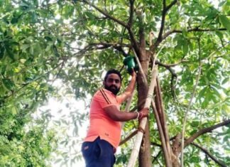 पक्षियों के सरंक्षण के लिए “हर- घर घोंसला ” अभियान की हुई शुरुआत पक्षियों के सरंक्षण के लिए "हर- घर घोंसला " अभियान की हुई शुरुआत