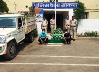 40 लाख रुपए मूल्य का गांजा पकडाया,दो व्यक्ति पुलिस के हिरासत में 40 लाख रुपए मूल्य का गांजा पकडाया,दो व्यक्ति पुलिस के हिरासत में