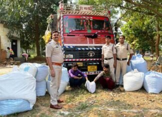 ट्रक में 84 लाख रुपये का गांजा मिला UP के दो तस्कर हुए गिरफ्तार ट्रक में 84 लाख रुपये का गांजा मिला UP के दो तस्कर हुए गिरफ्तार