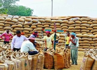 जिला में धान का अवैध परिवहन रोकने 17 चेक पोस्ट बनाए गए ,नामजद अधिकारी कर्मचारियों की लगी ड्यूटी 06 जनवरी को धान विक्रय के लिए काटे गये टोकन पर किसान 09 जनवरी को बेचेंगे धान