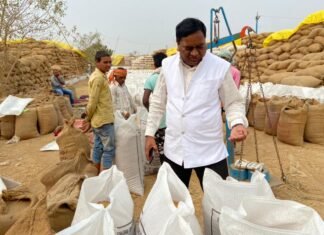 बेमौसम बारिश से धान बचाव के सभी उपाय करने के दिए निर्देश बेमौसम बारिश से धान बचाव के सभी उपाय करने के दिए निर्देश