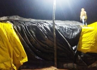 उपार्जन केन्द्रों की सतत् मॉनिटरिंग की जा रही है ज़िला मैदानी अमले द्वारा उपार्जन केन्द्रों की सतत् मॉनिटरिंग की जा रही है ज़िला मैदानी अमले द्वारा