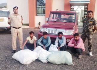 कार से 16 लाख रुपए का गांजा बरामद 04 तस्कर किए गए गिरफ्तार कार से 16 लाख रुपए का गांजा बरामद 04 तस्कर किए गए गिरफ्तार