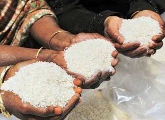 फोर्टिफाईड चावल का वितरण होगा महासमुंद जिला में फोर्टिफाईड चावल का वितरण होगा महासमुंद जिला में