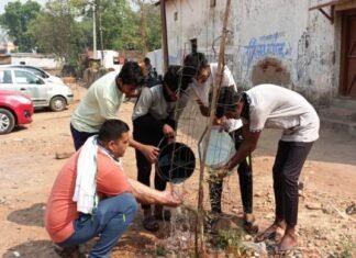 मिशन 90 डेज: पहले दिन शहर के 14 स्थानों पर लगे नन्हें पौधों को मिला पानी मिशन 90 डेज: पहले दिन शहर के 14 स्थानों पर लगे पौधों को मिला पानी