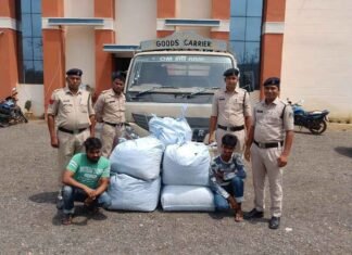 खराब आम के बोरियो के नीचे एक करोड़ 20 लाख रुपए का गांजा तस्करी करते हुए दो व्यक्ति को सिंघोड़ा पुलिस ने किया गिरफ्तार खराब आम के बोरियो के नीचे एक करोड़ 20 लाख रुपए की गांजा तस्करी