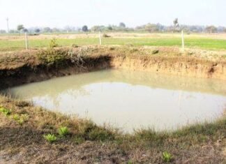 मिशन अमृत सरोवर के तहत हर जिले में बनेंगे 75 तालाब- अमृत