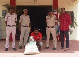 10 किलो गांजा की तस्करी करते हुए एक आरोपी को पुलिस ने किया गिरफ्तार 10 किलो गांजा की तस्करी करते हुए एक आरोपी को पुलिस ने किया गिरफ्तार