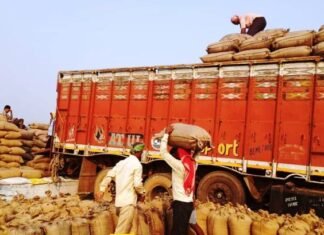 8.69 लाख क्विंटल धान की ख़रीदी के साथ परिवहन भी शुरू 8.69 लाख क्विंटल धान की ख़रीदी के साथ परिवहन भी शुरू