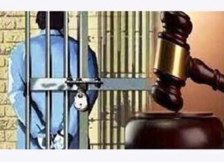 वन्य-प्राणी के अवैध व्यापार व तस्करी मामले मे 27 आरोपियों को 5-5 वर्ष का सश्रम कारावास वन्य-प्राणी के अवैध व्यापार व तस्करी मामले मे 27 आरोपियों को 5-5 वर्ष का सश्रम कारावास