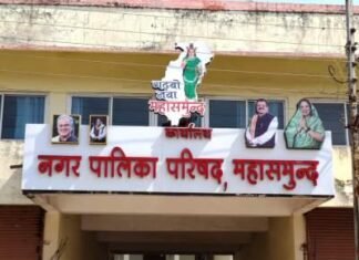 आवारा विचरण कर रहे सूअर को पालिका छोड़ेगी बार नयापारा अभ्यारण में आवारा विचरण कर रहे सूअर को पालिका छोड़ेगी बार नयापारा अभ्यारण में