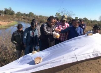 बिजली के करंट से हाथी की मौत,मौके पर पहुँचे जीव जंतु कल्याण बोर्ड के उपाध्यक्ष आलोक बिजली के करंट से हाथी की मौत,मौके पर पहुँचे जंतु कल्याण बोर्ड के उपाध्यक्ष