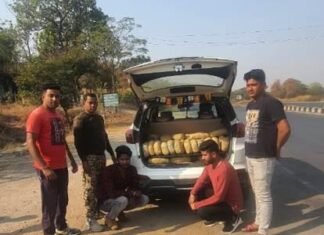 सिघोंडा पुलिस ने 16 लाख ₹ का गाँजा पकड़ा, दो व्यक्ति गिरफ्तार