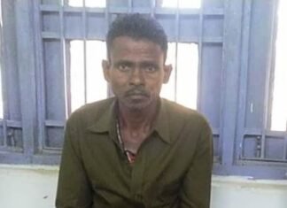 राष्ट्रीय पक्षी मोर के शिकारी को वन विभाग ने किया गिरफ्तार वन विभाग ने राष्ट्रीय पक्षी मोर के शिकारी सुखसिंग किया गिरफ्तार