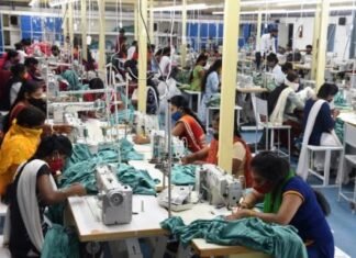 36गढ़ की महिलाओं ने दंतेवाड़ा के ब्रांड डेनेक्स के साथ देश-दुनिया में उद्यमिता को दिलाई नई पहचान दंतेवाड़ा के ब्रांड डेनेक्स के साथ देश-दुनिया में उद्यमिता को दिलाई नई पहचान