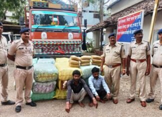 दो करोड़ दस लाख रुपए का गाँजा पकड़ाया, MP के दो व्यक्ति पुलिस के गिरफ्त मे दो करोड़ दस लाख रुपए का गाँजा पकड़ाया, दो व्यक्ति पुलिस केहिरासत मे
