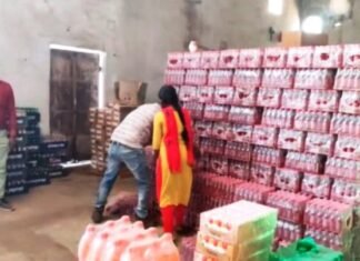 सॉफ्ट ड्रिंक के 16 हजार से अधिक बोतल सीज,जांच के लिए भेजा खाद्य एवं औषधि प्रशासन विभाग ने सॉफ्ट ड्रिंक के 16 हजार से अधिक बोतल सीज