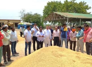 संसदीय सचिव मंडी पहुंचकर लिया खरीदी कार्य का जायजा, किसानों से भी की चर्चा समर्थन मूल्य में धान खरीदी 5 नवंबर से शुरू किया जाए:-जुगनू चन्द्राकर